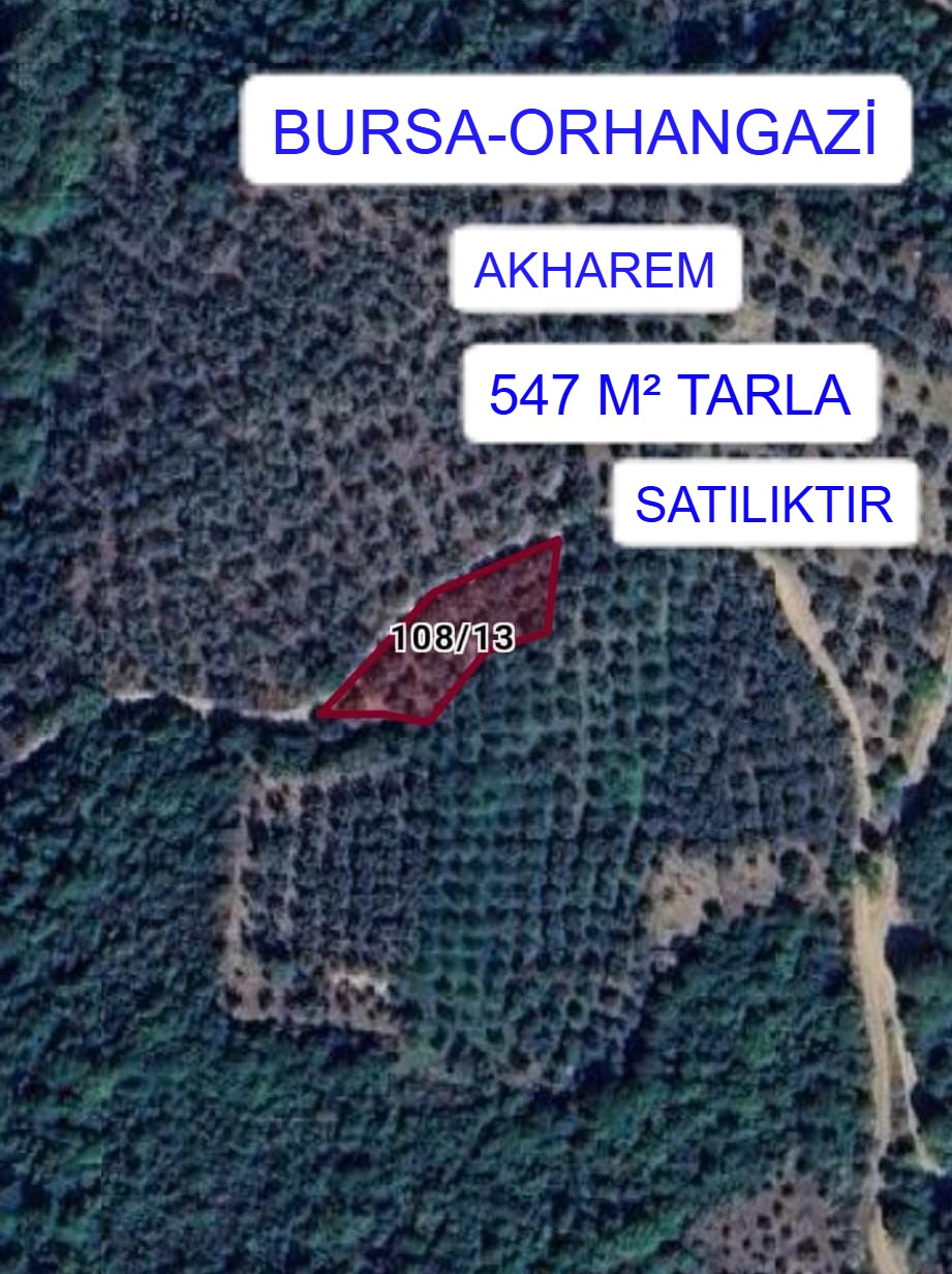 BURSA ORHANGAZİ AKHAREM MAH. 547M² TARLA SATILIKTIR - BURSA ORHANGAZİ fotoğraf 2
