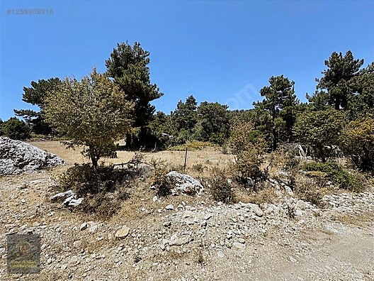 ANTALYA KAŞ YAYLAPALAMUT' DA 3.888 M2 UYGUN ARSA - ANTALYA KAŞ fotoğraf 8