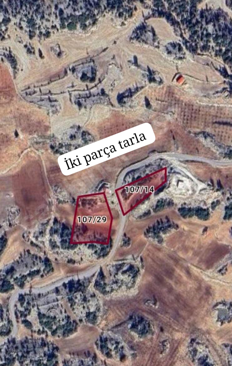 MERSİN GÜLNAR İSHAKLAR MAH. 6200 m²  İKİ PARÇA TARLAMIZ SATILIKTIR. - MERSİN GÜLNAR fotoğraf 2