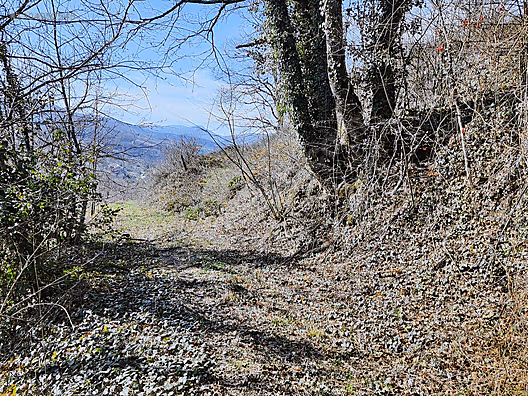 Gölcük Nüzhetiyede 2605m² Yatırımlık Fırsat Arazi - KOCAELİ GÖLCÜK fotoğraf 9