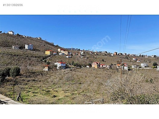 ESPİYE ÇAM MAHHALLESİ AYRIK NİZAM 7 KAT İMARLI FIRSAT ARSALAR - GİRESUN ESPİYE fotoğraf 4