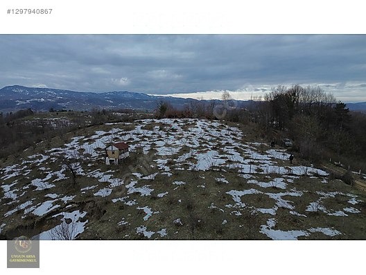 DÜZCE YIĞILCA HACILAR 'DA 2.744 M2 BAĞ EVİ OLAN FINDIK BAHÇESİ - DÜZCE YIĞILCA fotoğraf 23