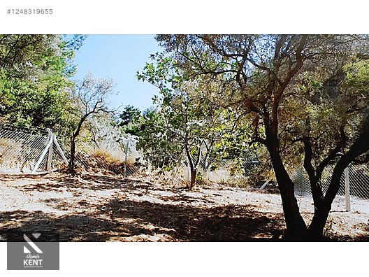 Kemalpaşa Armutlu Satılık 300 m2 Bahçe Tek Tapu - İZMİR KEMALPAŞA fotoğraf 4