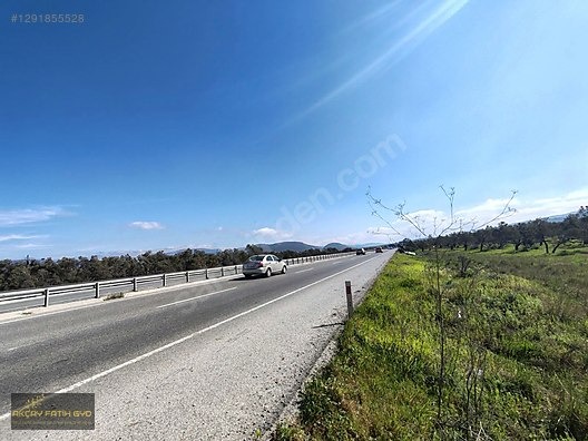 HAVRAN MESCİT MAHALLESİ OTOYOLA YAKIN 10 DÖNÜM SATIILIK ZEYTİNLİ - BALIKESİR HAVRAN fotoğraf 33