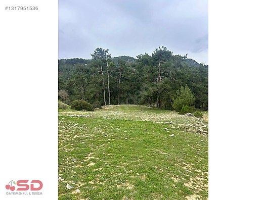 Muğla Akbük koyuna 15 dk mesafede kelepir 1777 m2 arazi - MUĞLA MENTEŞE fotoğraf 11