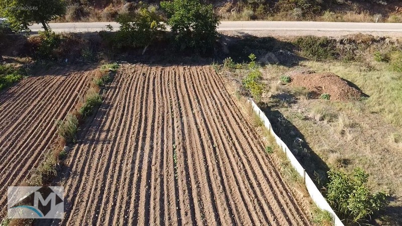 Balıkesir bandırma sahil yenice - BALIKESİR BANDIRMA fotoğraf 4
