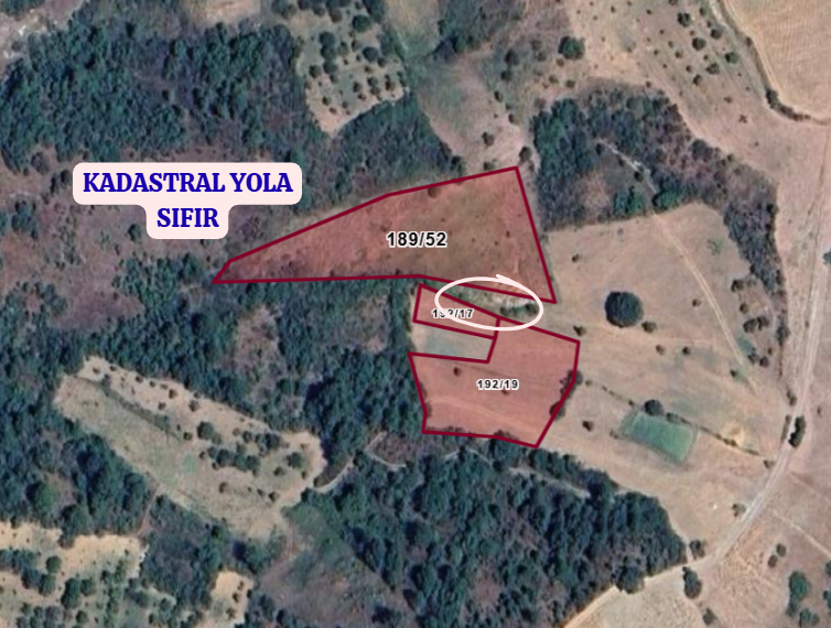 MANİSA DEMİRCİ SEVİNÇLER   KÖYÜNDE  3.295 M²  BAĞ  SATILIKTIR - MANİSA DEMİRCİ fotoğraf 3