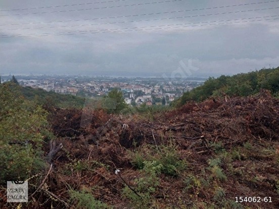 YALOVA ALTINOVA KAYTAZDERE'DE 7180M2 YATIRIMLIK TARLA BİR BÜLÜMÜ İMARLI 2 PAPSEL - YALOVA ALTINOVA fotoğraf 11