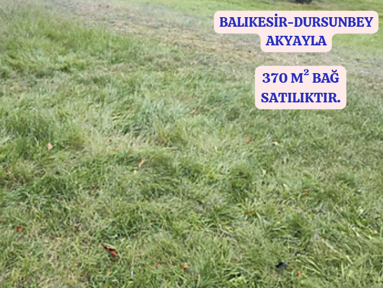 BALIKESİR DURSUNBEY AKYAYLA   KÖYÜNDE  370  M² BAĞ  SATILIKTIR - BALIKESİR DURSUNBEY fotoğraf 2