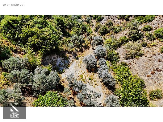 Kemalpaşa Yukarıkızılca Satılık 950 m2 Bahçe Tek Tapu - İZMİR KEMALPAŞA fotoğraf 23