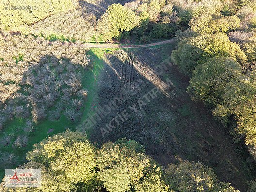 SAKARYA KAYNARCA CEBEK 2786 M2 KARE ORMANA CEPHELİ RESMİ YOLLU - SAKARYA KAYNARCA fotoğraf 17