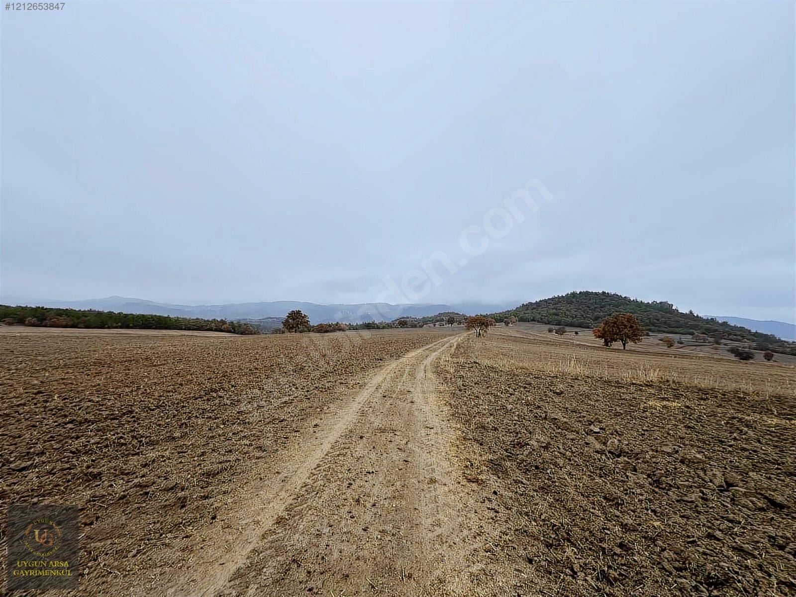 BOLU GÖYNÜK KARAARDIÇ'TA 4.921 M2 UYGUN ARSA - BOLU GÖYNÜK fotoğraf 28