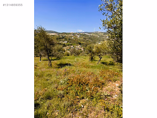PANORAMİK MANZARALI YATIRIMLIK ZEYTİNLİK - HATAY YAYLADAĞI fotoğraf 5