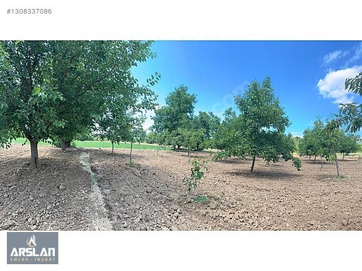 İNEGÖL ÇİTLİ'MAH 11,000m² SATILIK BAKIMLI CEVİZ BAHÇESİ - BURSA İNEGÖL fotoğraf 11