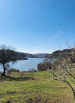 BURSA İZNİK MAHMUDİYE MAHALLESİ'NDE 7.500 M²  TARLAMIZ SATILIKTIR - BURSA İZNİK fotoğraf 11
