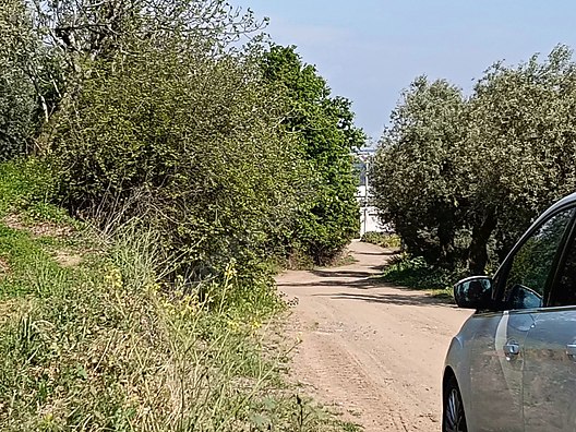 BURSA MUDANYA KAYMAKOBA  KÖYÜNDE 315 M²  ZEYTİNLİK SATILIKTIR - BURSA MUDANYA fotoğraf 3