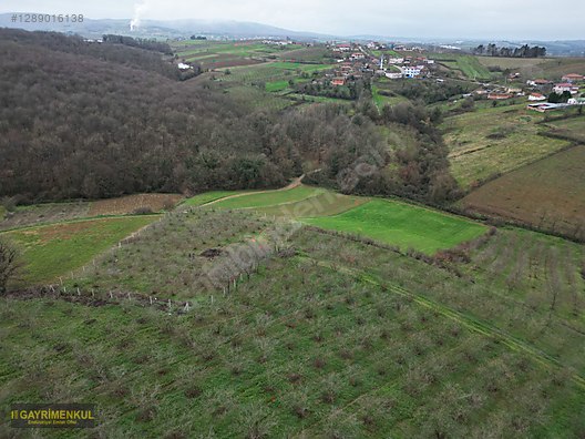 Ferizli Hocaoğlu'nda Satılık 2400 m² Fındık Bahçesi - SAKARYA FERİZLİ fotoğraf 17