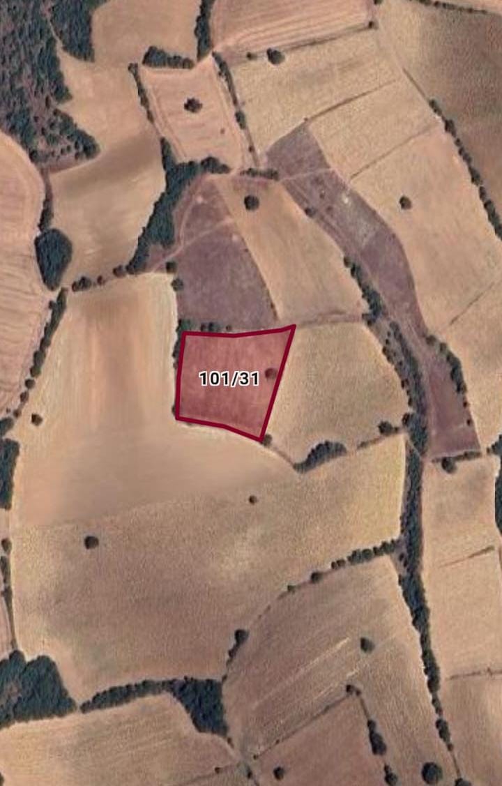 BURSA YENİŞEHİR TERZİLER MAH.TARLANIN 3962M² Sİ SATILIK - BURSA YENİŞEHİR fotoğraf 6