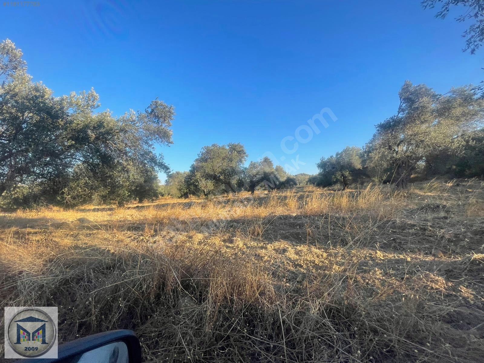 PELİTKÖY SAHİLDE İMARA 650 METRE SATILIK 6.500M2 ZEYTİNLİK - BALIKESİR BURHANİYE fotoğraf 21