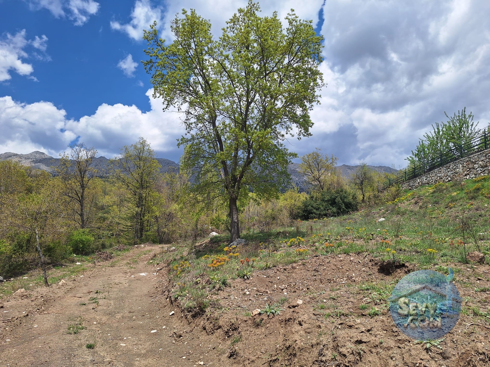 AĞLASUN SAKARCA MAHALLESİNDE SATILIK MUHTELİF ARSA - Burdur Ağlasun fotoğraf 11