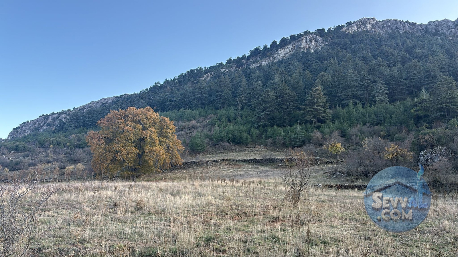 ASYA EVİM EMLAKTAN AĞLASUN/ÇANAKLI KÖYÜNDE SATILIK FIRSAT TARLA - Burdur Ağlasun fotoğraf 2
