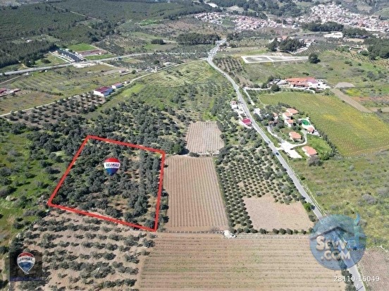 SATILIK KUŞADASI/ÇINARKÖY DE ZEYTIN VE INCIR AĞACI DIKILI BAĞ-BAHÇE - AYDIN KUŞADASI fotoğraf 7