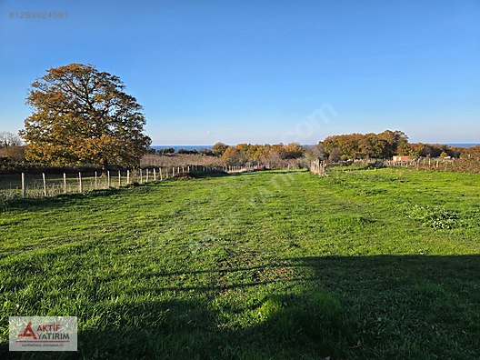 DENİZ MANZARALI İMAR PLANI İÇİNDE ELEKTRİĞİ SUYU BAĞLI 2520 M2 - KOCAELİ KANDIRA fotoğraf 20