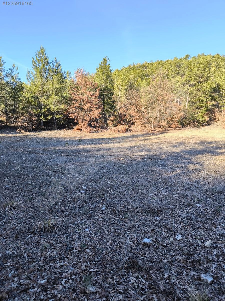BURSA KELEŞ BAŞAK KÖYÜ’NDE 5.731 M²  TARLA SATILIKTIR - BURSA KELES fotoğraf 8