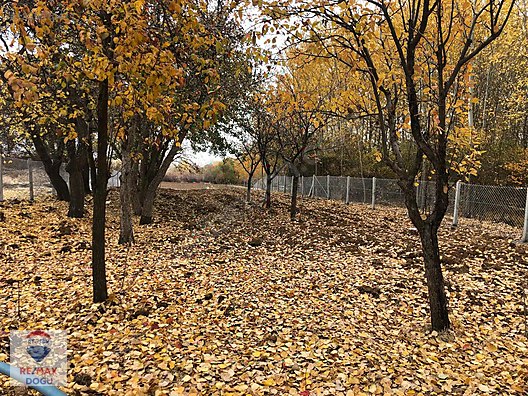 REMAX DOĞUDAN GÖZPINARI KÖYÜ 942 M2 HAZIR KURULU BAHÇE - ELAZIĞ MERKEZ fotoğraf 3