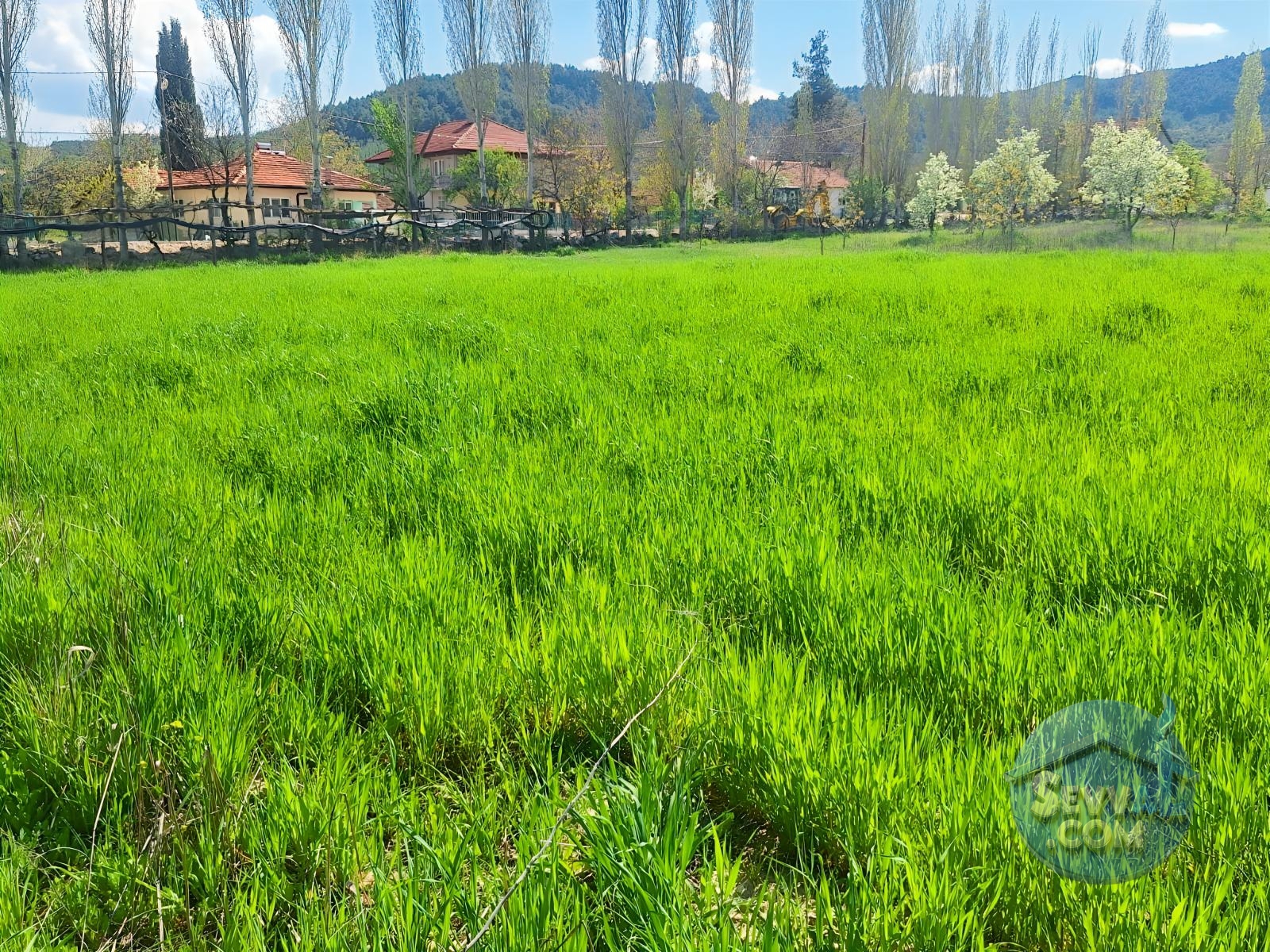 AĞLASUN KİBRİT KÖYÜNDE SATILIK FIRSAT ARAZİ - Burdur Ağlasun fotoğraf 29