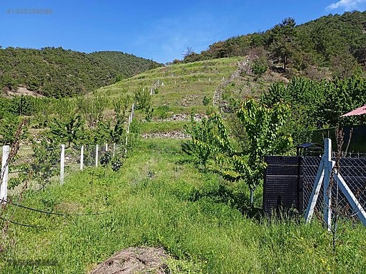 TAŞHAN EMLAKDAN YENİCE DE SATILIK TEK TAPU HOBİ BAHÇE - AMASYA MERKEZ fotoğraf 5