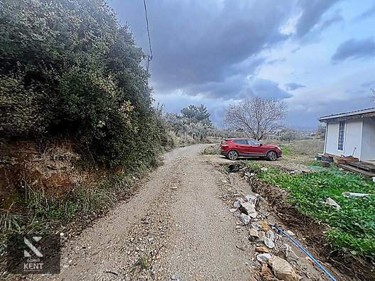 Kemalpaşa Armutlu Hürriyet Mah. Satılık 1.950 m2 Bahçe - İZMİR KEMALPAŞA fotoğraf 11