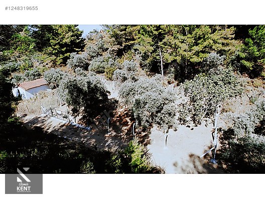 Kemalpaşa Armutlu Satılık 300 m2 Bahçe Tek Tapu - İZMİR KEMALPAŞA fotoğraf 26