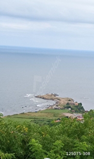 perşembe çaytepe mahallesinde imarlı fındık bahçesi - ORDU PERŞEMBE fotoğraf 2
