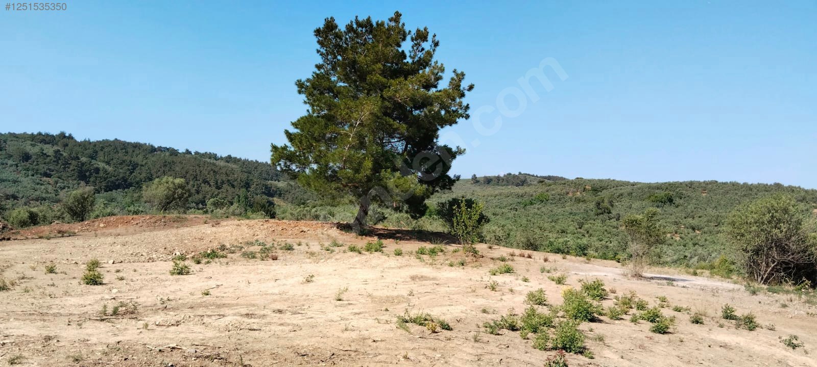 BURSA MUDANYA TİRİLYE (HALİLBEY) 1.853 M² TARLA SATILIKTIR. - BURSA MUDANYA fotoğraf 5