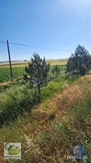 🚨 KÜTAHYA'DA ANAYOLA CEPHELİ 6.152 M² VERİMLİ TARLA 🚨 - KÜTAHYA MERKEZ fotoğraf 46