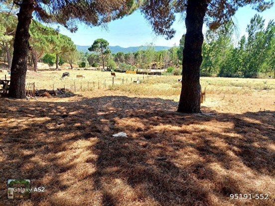 BERGAMA KOZAK YAYLASI KARAVELİLER MAH DE 5520 M2 %5 TARIM İMARLI FISTIKLIK - İZMİR BERGAMA fotoğraf 5