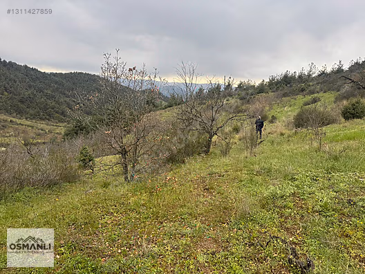 DOĞA İÇERİSİNDE 10 DÖNÜM FIRSAT BAHÇE - BİLECİK İNHİSAR fotoğraf 11