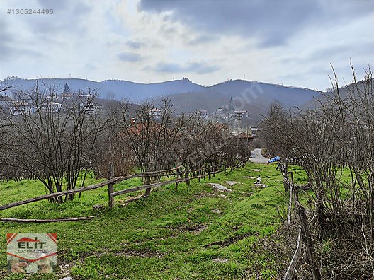 Kocaali Kirazlı'da 4.286m² Fındık Bahçesi ve 780m² İmarlı Arsa - SAKARYA KOCAALİ fotoğraf 12