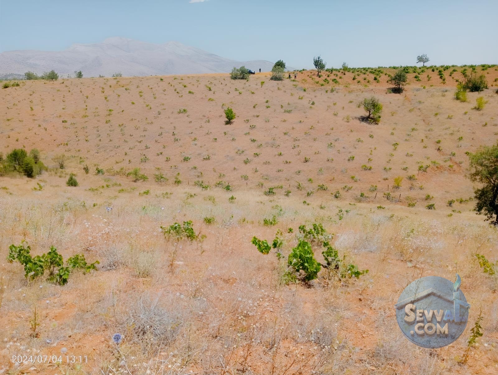 KARAMAN MERKEZ MURATDEDE KÖYÜNDE 5.746 M² ÜZÜM BAĞI SATILIKTIR - Karaman Merkez fotoğraf 5