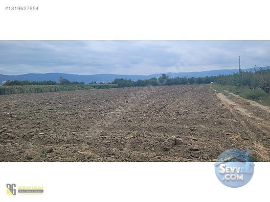Ali Bey Köy'de Satılık Tarla 7884 M², Sulama Hatlı, Yola Yakın - BURSA İNEGÖL fotoğraf 8