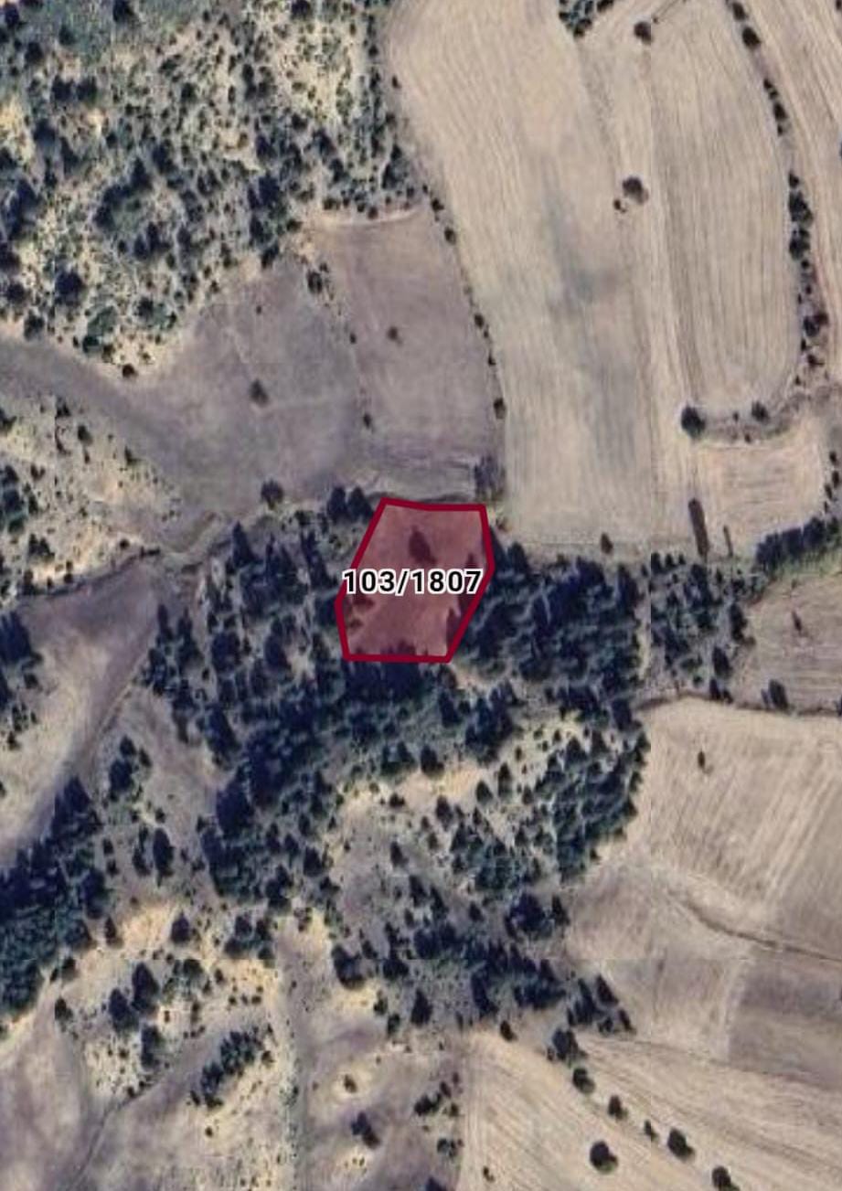 KÜTAHYA ÇAVDARHİSAR KIZIKKÖYÜ 2915M² TARLA SATILIKTIR - KÜTAHYA ÇAVDARHİSAR fotoğraf 2