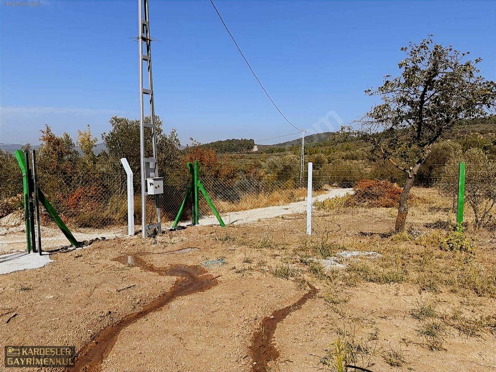AKHİSAR YENİCEKÖYDE KARIŞIK ZEYTİN MEYVE BAHÇESİ SU ELEKTRİKLİ - MANİSA AKHİSAR fotoğraf 18