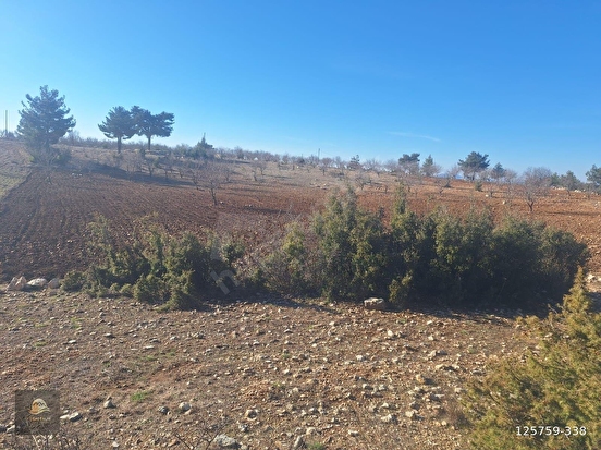 GÜLNAR SARAY MAHALLESİNDE SATILIK 10500 M2 TARLA - MERSİN GÜLNAR fotoğraf 16