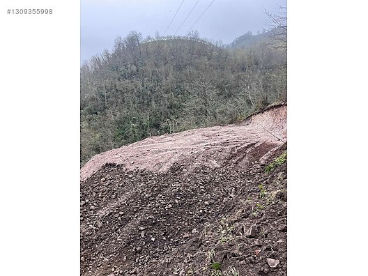 ESPİYE KAŞDİBİ KÖYÜ 4,5 DÖNÜM MANDIRA YERİ EŞILMIŞ - GİRESUN ESPİYE fotoğraf 5