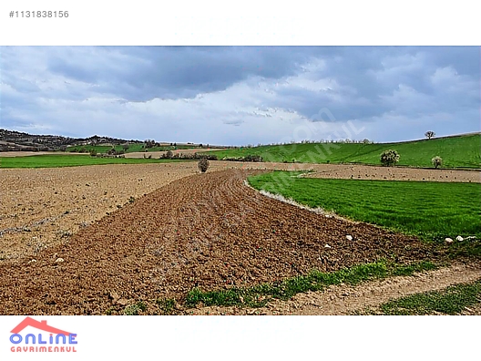 Araç Takaslı - BİLECİK YENİPAZAR fotoğraf 32
