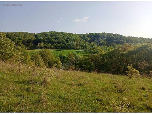 BALIKESİR KEPSUT SERÇEÖREN  KÖYÜNDE 1.304 M² TARLA SATILIKTIR - BALIKESİR KEPSUT fotoğraf 4