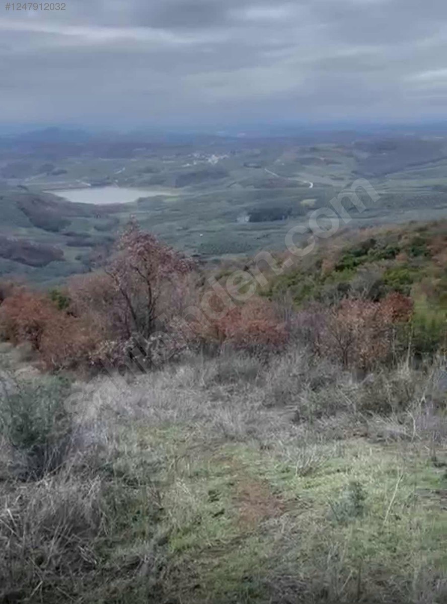 BURSA MUDANYA MİRZAOBA KÖYÜNDE 3.753 M TARLA SATILIKTIR - BURSA MUDANYA fotoğraf 4