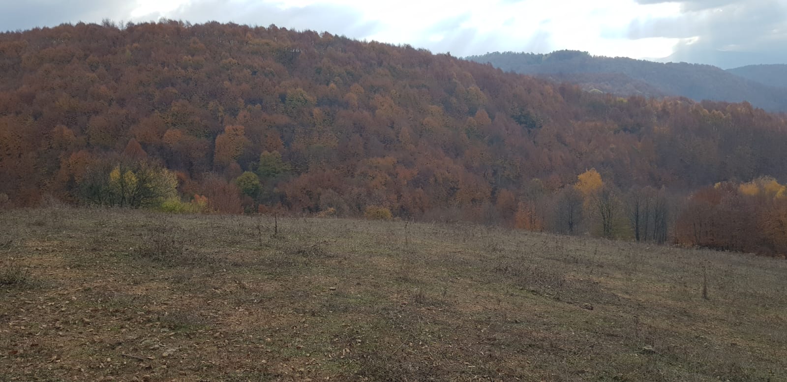 Bursa inegol Hamitabat mahallesinde köye yakin manzarali 16.581 - BURSA İNEGÖL fotoğraf 7