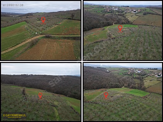 Ferizli Hocaoğlu'nda Satılık 2400 m² Fındık Bahçesi - SAKARYA FERİZLİ fotoğraf 42